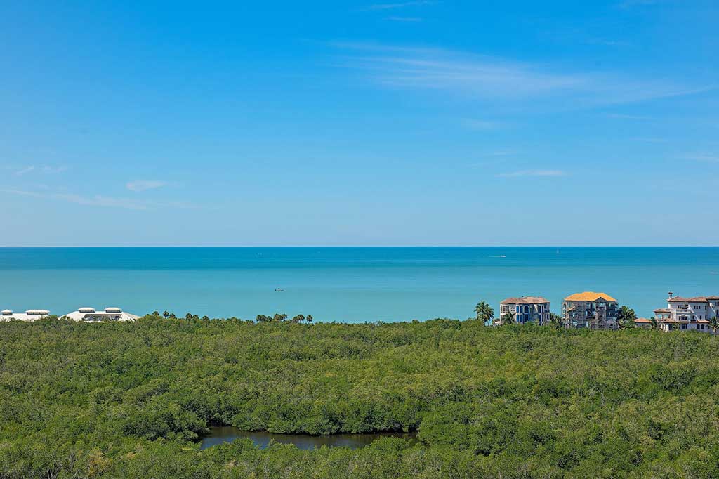 7425 Pelican Bay Blvd #1603
